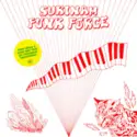 Various: Surinam Funk Force