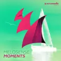 Melosense: Moments
