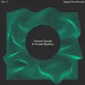 Various: Groove Sounds & Twisted Rhythms Vol. V