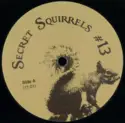 Secret Squirrel [6]: Secret Squirrels #13