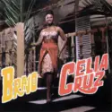 Celia Cruz: Bravo