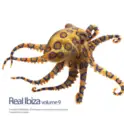 Various: Real Ibiza Volume 9