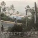 Stranded Horse: Transmission / A Faint Light