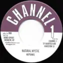The Heptones: Natural Mystic