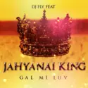 DJ Fly [9] Feat Jahyanai King: Gal Mi Luv