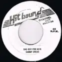 Sammy Dread / Leroy Smart: Bad Boy Fire M16 / Badness Don't Pay