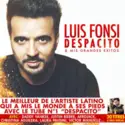Luis Fonsi: Despacito & Mis Grandes Exitos