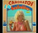Various: 14 Cañonazos Bailables Vol. 24