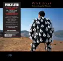 Pink Floyd: Delicate Sound Of Thunder