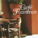 Unknown Artist: Café Flamenco
