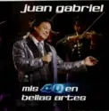 Juan Gabriel: Mis 40 En Bellas Artes