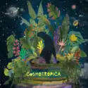 Chillum Trio: Cosmotropica
