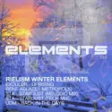 Various: Rielism Winter Elements