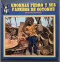 Gnonnas Pedro Y Sus Pancho De Cotonou: Azian Vignin