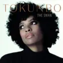 Tokunbo Akinro: The Swan