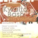 Various: AK Presents Kwaito Bash - Hits Volume 2