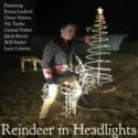 Reindeer in Headlights: Reindeer in Headlights