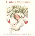 Puzzlejug / The Brendon Consort / Claire Hamilton: A White Christmas (A Face Full Of Christmas Music & Song)