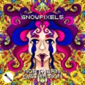 Snowpixels: Northern Distortion