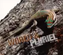 Various: World & Pluriel (Île De La Réunion)