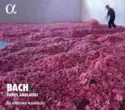 Blandine Rannou, Johann Sebastian Bach: Suites Anglaises