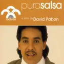 David Pabón: Pura Salsa