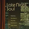 Various: Late Night Soul