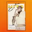 David Thekwane: Jive Hits