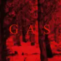Wolfgang Voigt: GAS