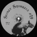 Secret Squirrel [6]: Secret Squirrels #19