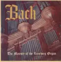 Johann Sebastian Bach, Michael Schneider [3]: The Majesty Of The Lüneberg Organ