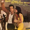 Herb Alpert & The Tijuana Brass: What Now My Love