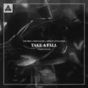 The Brig x Rob Gasser x Ashley Apollodor: Take A Fall (Varien Remix)