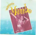 Various: Fabulous Mambo