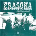 Erasoka: Pausoak Hamar
