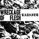 Kadaver [2]: Wreckage Of Flesh