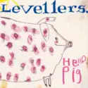 The Levellers: Hello Pig