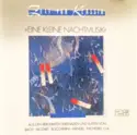 Various: »Eine Kleine Nachtmusik« (Aus Den Berühmten Sonaten Von Bach · Mozart · Boccherini · Händel · Pachel