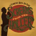 The Tennessee Mafia Jug Band: Screams From The Holler