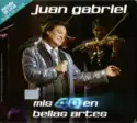 Juan Gabriel: Mis 40 En Bellas Artes