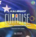 Kalibwoy Ft. Kempi, Jhorrmountain & Dezz [5]: Curadise