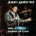 Juan Gabriel: Mis 40 En Bellas Artes