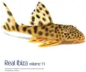 Various: Real Ibiza 11