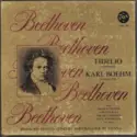 Ludwig van Beethoven / Karl Böhm With Hilde Konetzni, Torsten Ralf, Irmgard Seefried, Paul Schöffler: Fidelio (Complete)