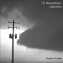 Charlie Naked: The Bastard Index