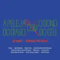 Various: A Peleja Do Diabo Com O Dono Do Céu - 40 Anos - Remake Pop Rock