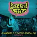 Spectral Cat: Chambers 2: Electric Boogaloo