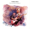 Chris Rea: Dancing With Strangers