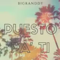 Big Randdy: Puesto Pa Ti