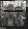 Blanco Palamera: Promesas